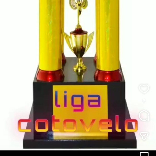 Torneio Amazonas