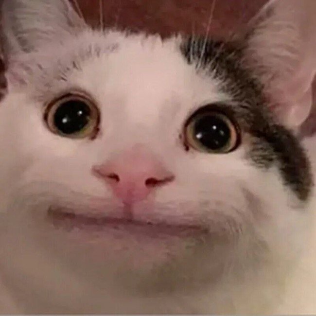 Белуга