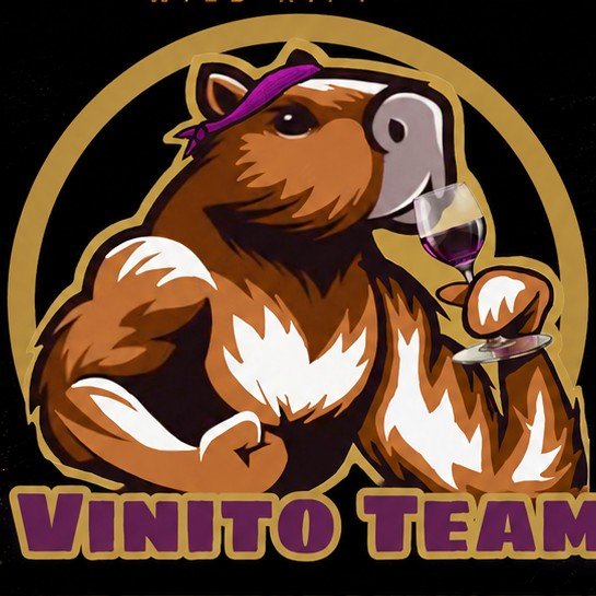 VINITO TEAM