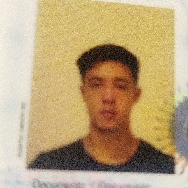 Bustamante Mateo