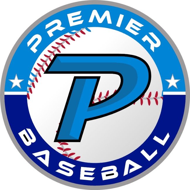 Premier Baseball 1v1