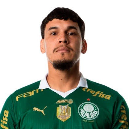 Gustavo Gómez