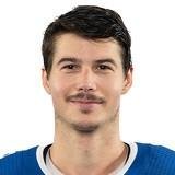 Николай Голдобин
