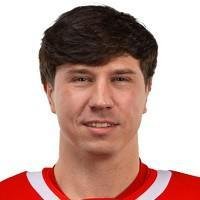Дмитрий Вишневский