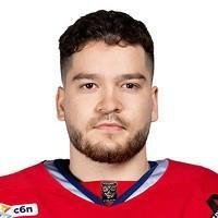 Илья Николаев