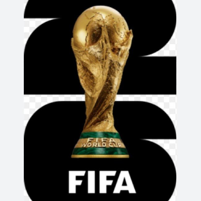 Copa do mundo S-13