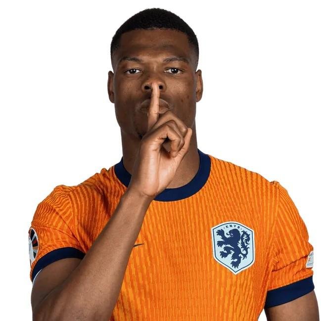 Denzel Dumfries