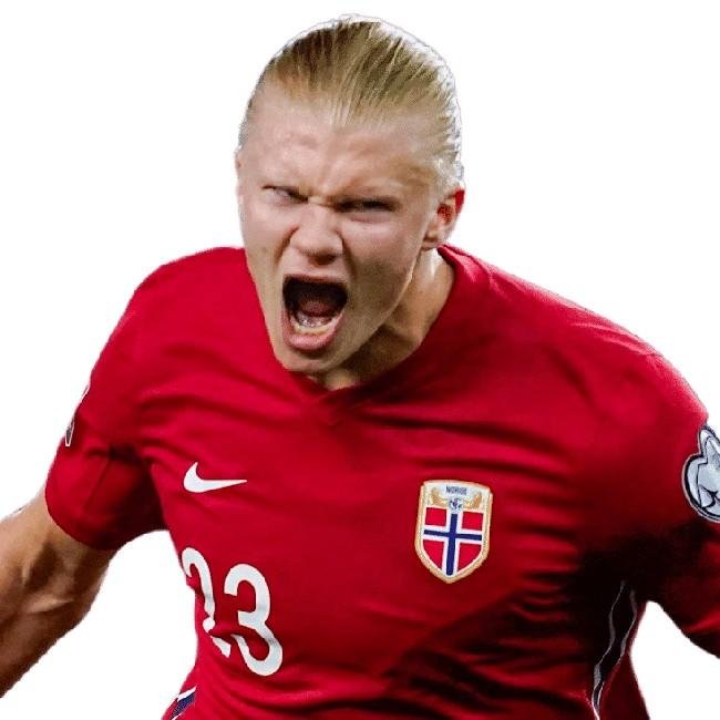 Erling Haaland