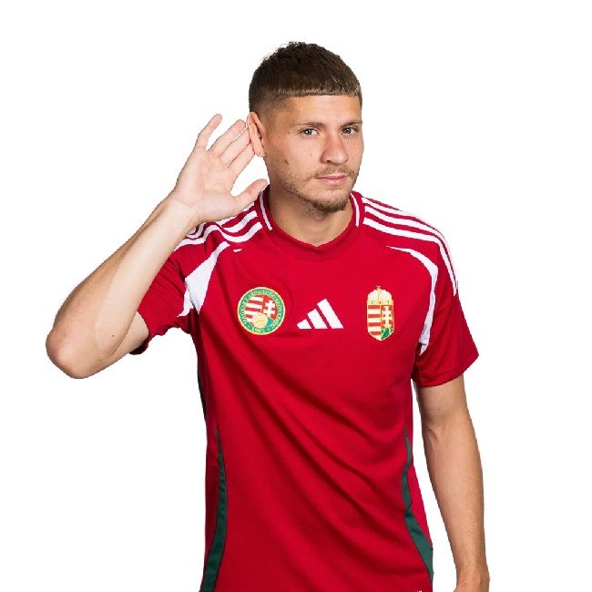 Dardai