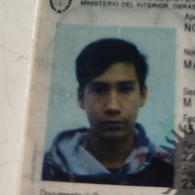 Noguera Martin