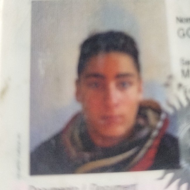 Lazzaroni Gonzalo