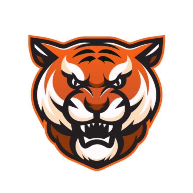 Boston Bengals