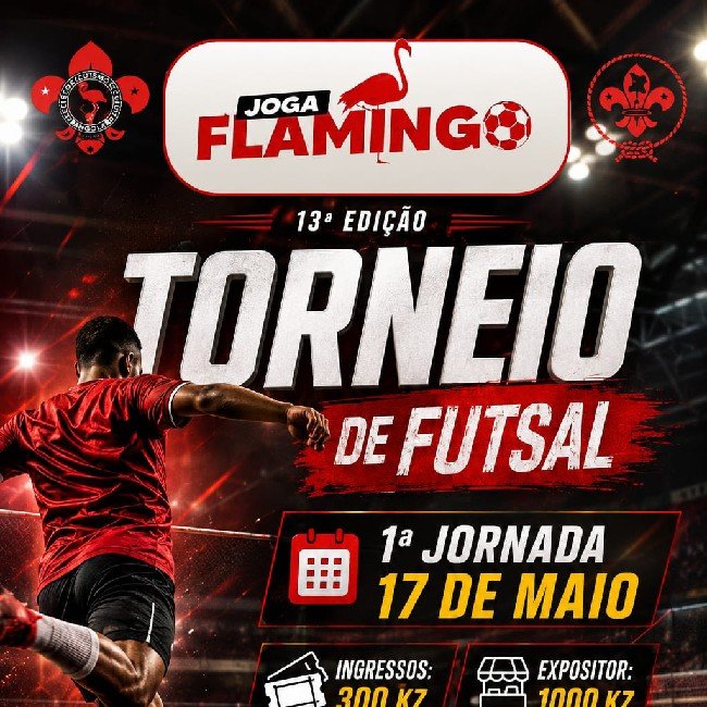 Joga flamingo - 13°edição