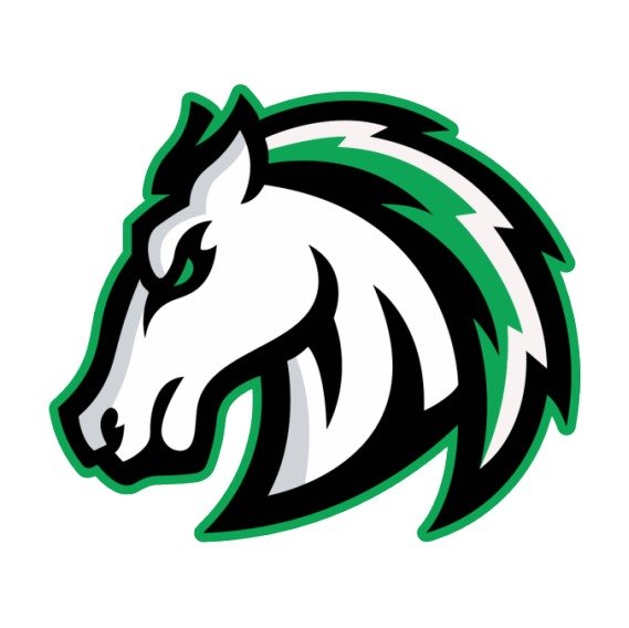Pittsburgh Stallions