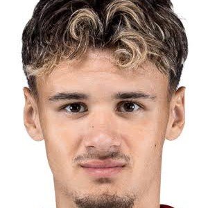 Alajbegovic