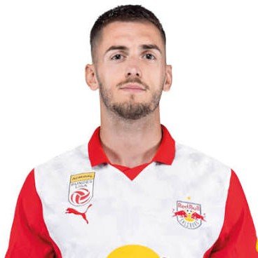 Aleksa Terzic