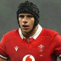 Dafydd Jenkins