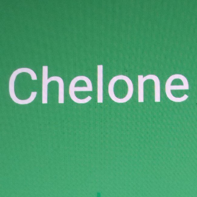 Casa de carnes chelone