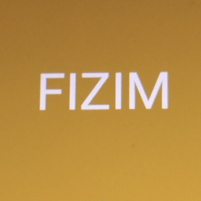 Fizim