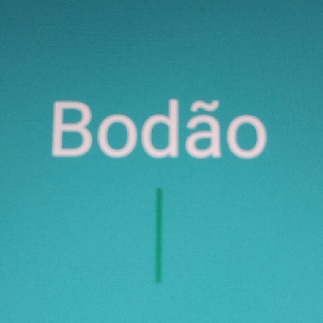 Bodão
