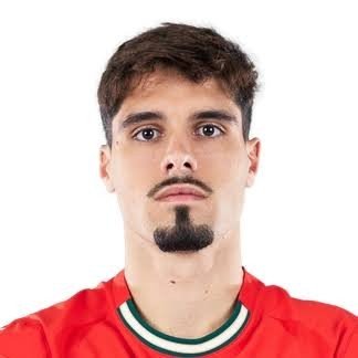 Pedro Neto