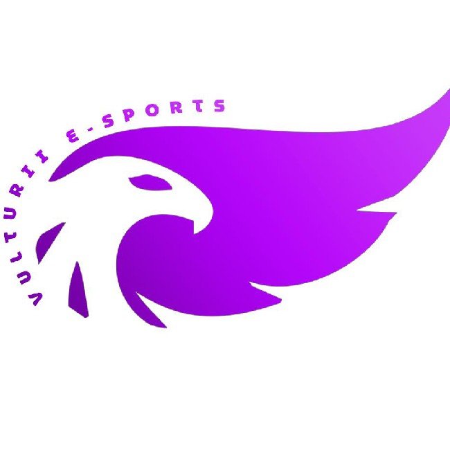Vulturii eSports