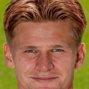 Møller Wolfe