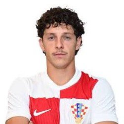 Domagoj Bradaric