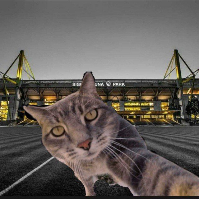 @Rostyslav07