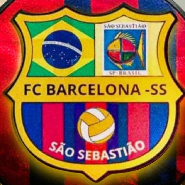 FC BARCELONA SSB