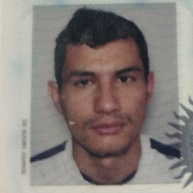 Gallo Emanuel