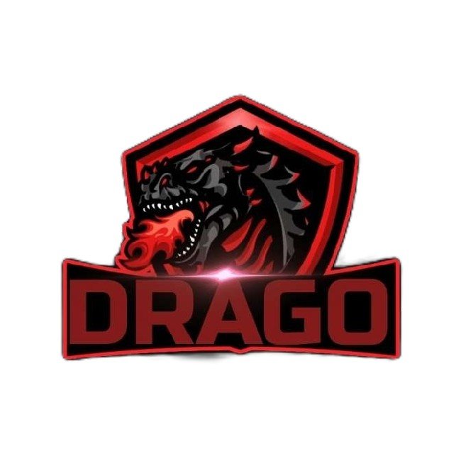 TEAM DRAGO
