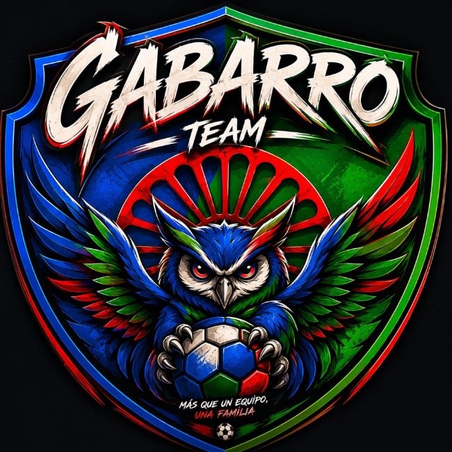 GABARRO TEAM