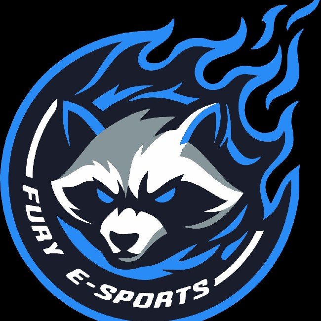 Fury E-SPORTS