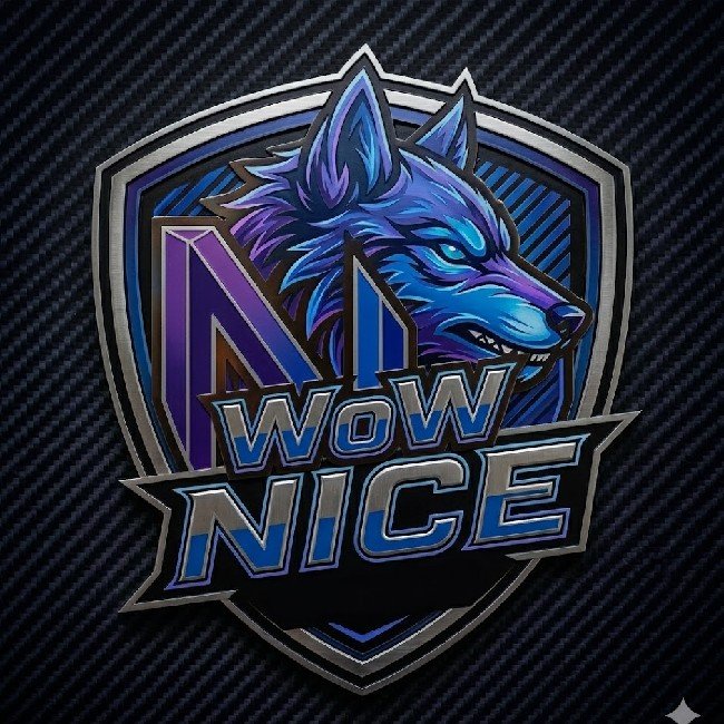 WOW N.I.C.E