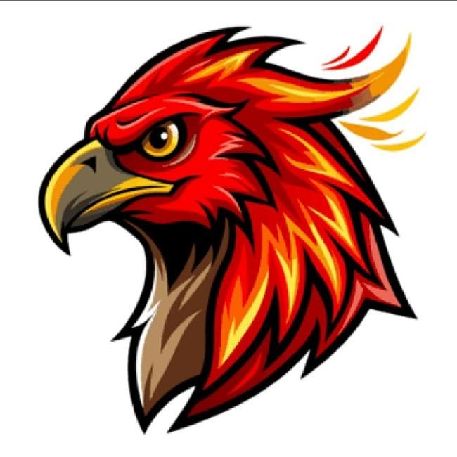 The Hawks