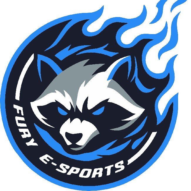Fury E-Sports