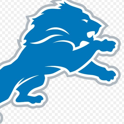 Detroit Lions