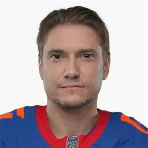 Плотников