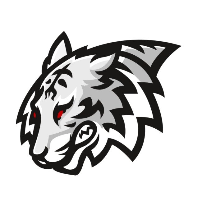 Toronto Tigers