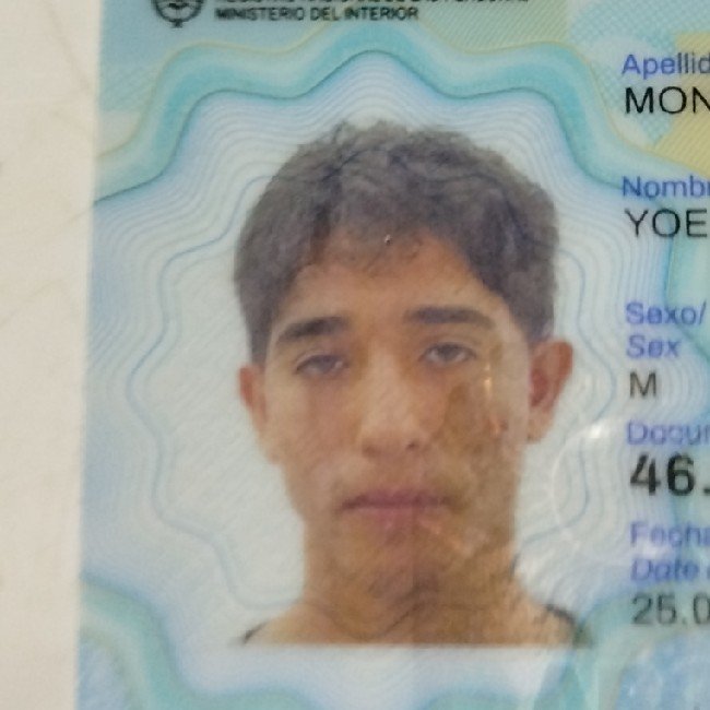 Montenegro Yoel