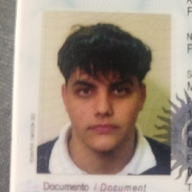 Follonier Fernando