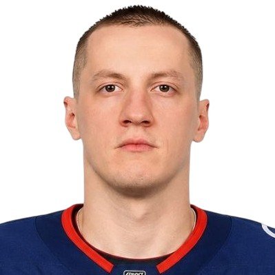 Дмитрий Кагарлицкий 🇷🇺