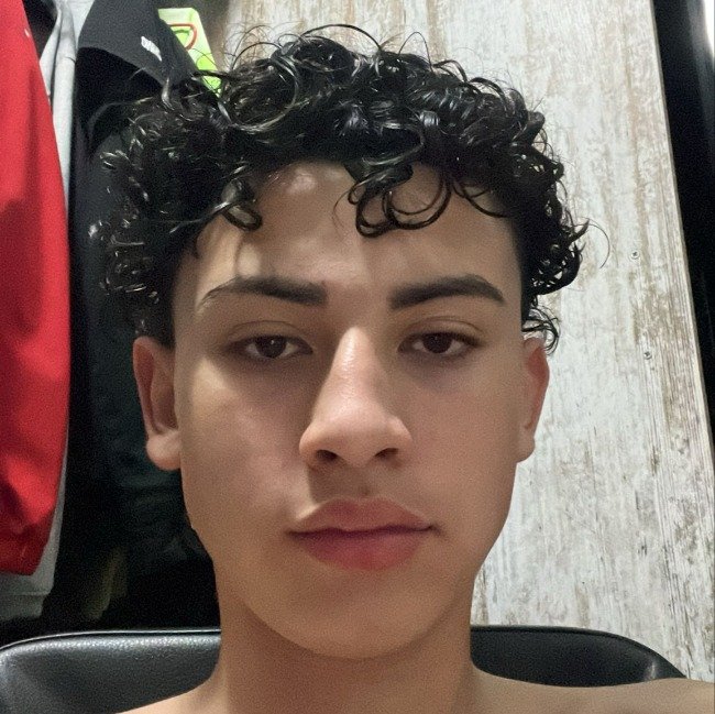 MOISES