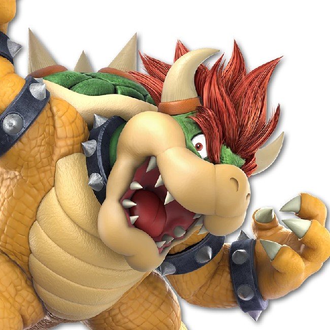 Bowser