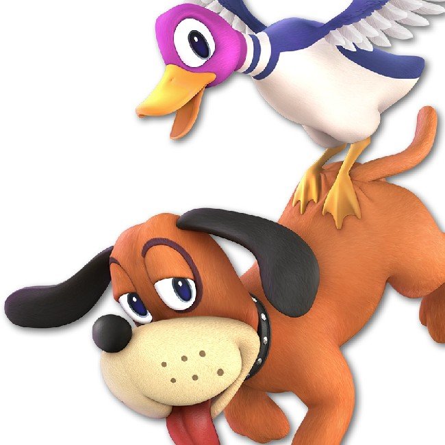 Duck Hunt