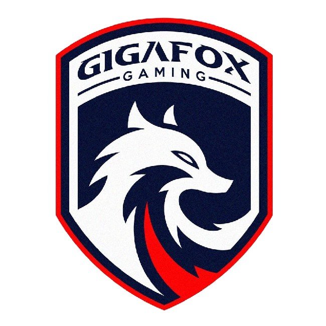 GIGAFOX ACADEMY