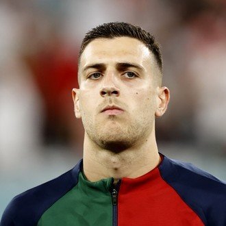 Diogo Dalot