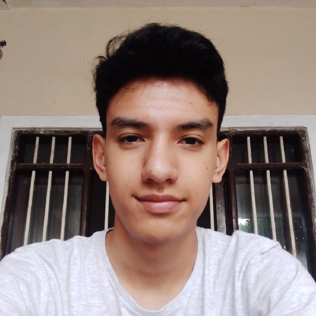 Thiago Ricalde Mimura