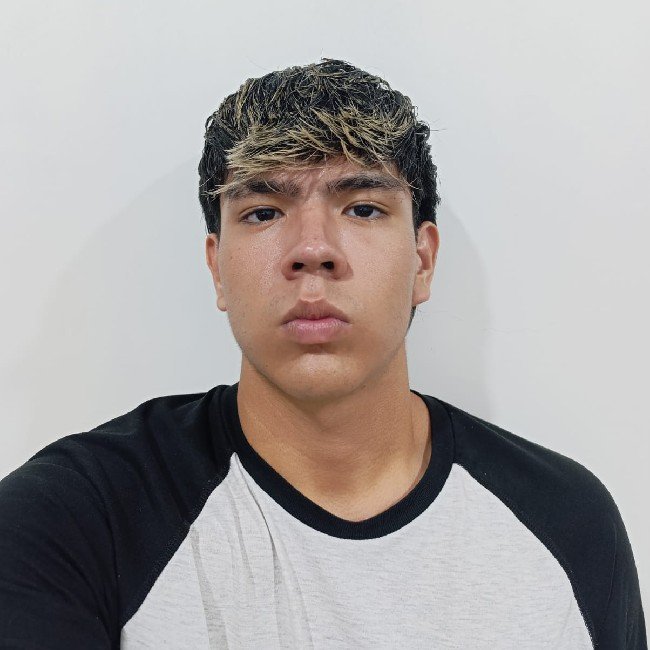 Rodrigo Ricalde Mimura